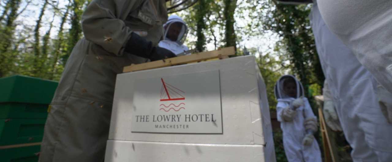 The Lowry Hive